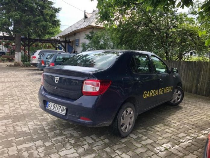 61798439_855196931539782_6385379500175130624_n