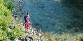 Trei morţi şi un rănit în urma unui accident produs în Novaci