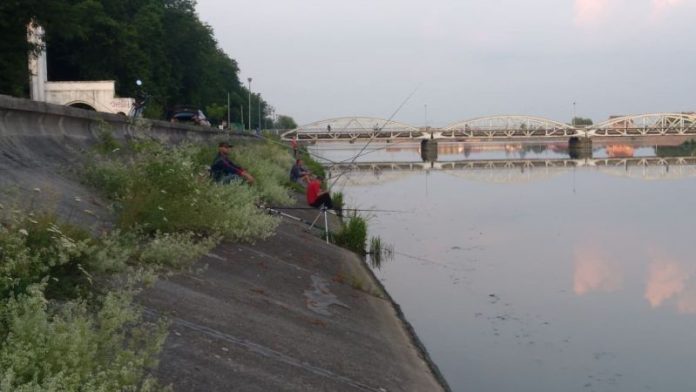 64295877_1222485654623915_408597199694331904_n