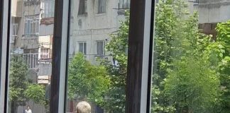 Pistol de jucărie, confiscat de polițiști