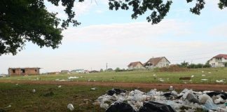 VIDEO: Tone de gunoi, adunate voluntar de copii, în pădurea de la Crihala!