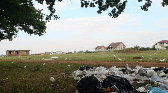 VIDEO: Tone de gunoi, adunate voluntar de copii, în pădurea de la Crihala!