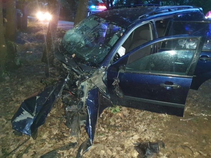 64978601_455860524978153_7393613121471905792_n