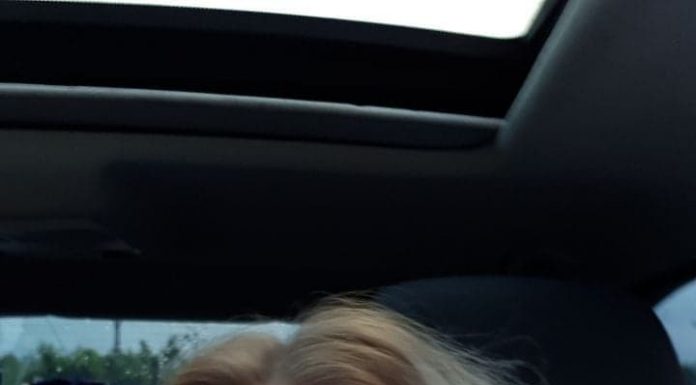 O singură polițistă din Gorj, delegată la mare