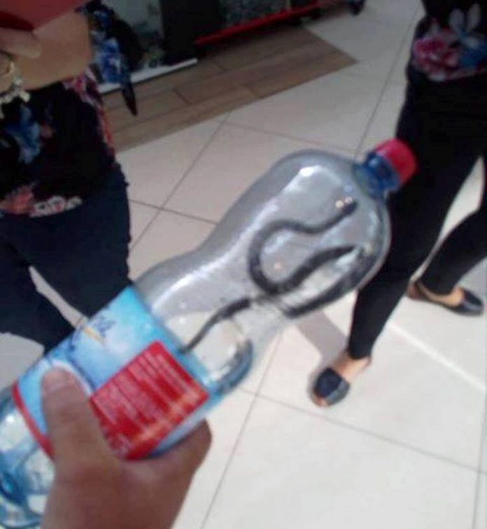 65183708_337876283550832_4367262191275999232_n