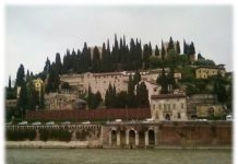 ALIVE – Un proiect de suflet