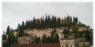 ALIVE – Un proiect de suflet