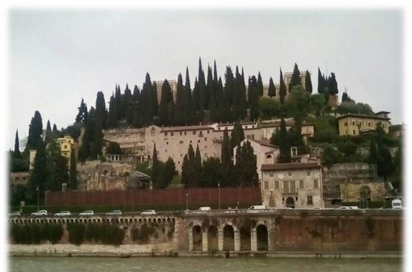 ALIVE – Un proiect de suflet