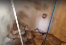 Bărbat salvat de pompieri, după ce a căzut într-o fântână din Peștișani