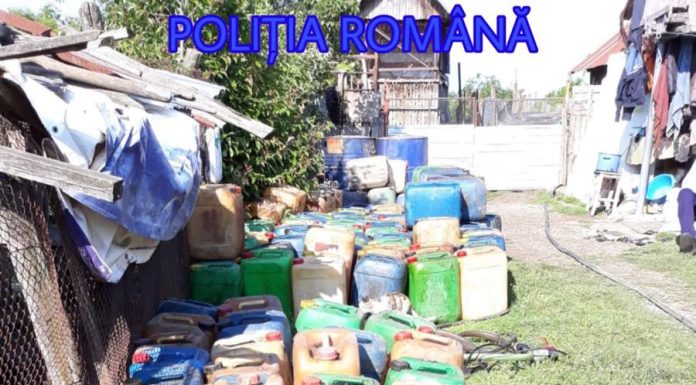 VIDEO: Percheziții la un om de afaceri din Târgu-Cărbunești