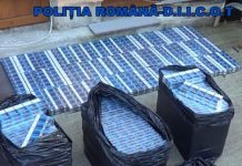 Percheziții încheiate cu rețineri, în Gorj