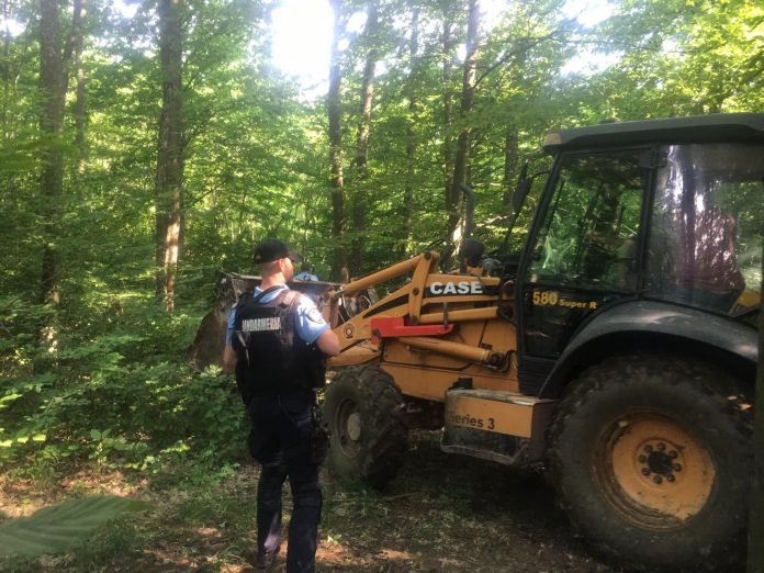 WhatsApp Image 2019-06-10 at 19.10.02