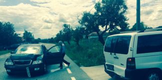 Averile senatorilor de Gorj. Și-au luat mașini noi!