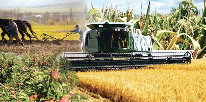 Agricultura pe înțelesul tuturor – Graficul lucrărilor agricole în luna iulie