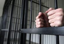 Doi bărbați din Ilfov, reținuți de polițiștii din Motru, pentru înșelăciune