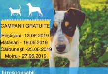 Sterilizări gratuite în mai multe localități din Gorj