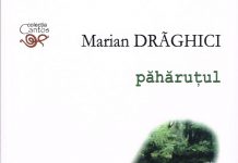 Însemnări de (re)lectură – Marian Drăghici: Păhăruţul