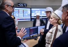 Deputat de Gorj, propunere către Dăncilă