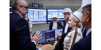 Deputat de Gorj, propunere către Dăncilă