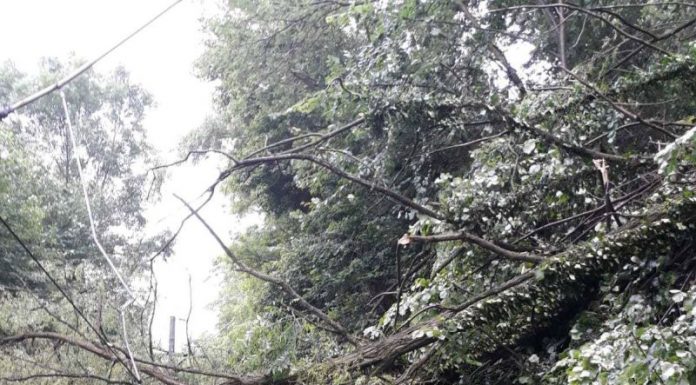 Două trenuri de călători au staționat între stații câteva ore! Circulația între Lainici și Pietrele Albe, oprită temporar după o furtună violentă