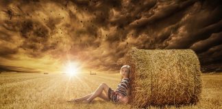 Agricultura pe înțelesul tuturor – Va fi vară secetoasă – Cum să ne protejăm culturile de câmp