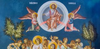 Educaţia…şi Lecţia de viaţă – «Înalţă-Te peste ceruri, Dumnezeule, şi peste tot pământul Slava Ta!»(Psalmul 56, 7)
