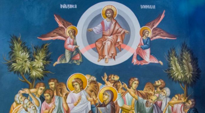 Educaţia…şi Lecţia de viaţă – «Înalţă-Te peste ceruri, Dumnezeule, şi peste tot pământul Slava Ta!»(Psalmul 56, 7)