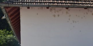 Numărul 5 al revistei de apiCULTURĂ ,,Albinușa” a ieșit de sub tipar! Lansare cu fast, la Cărbunești