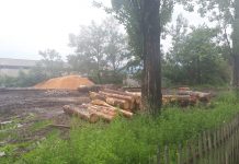 O cantitate de 14 metri cubi de lemn, confiscată de polițiști la Bumbești-Jiu