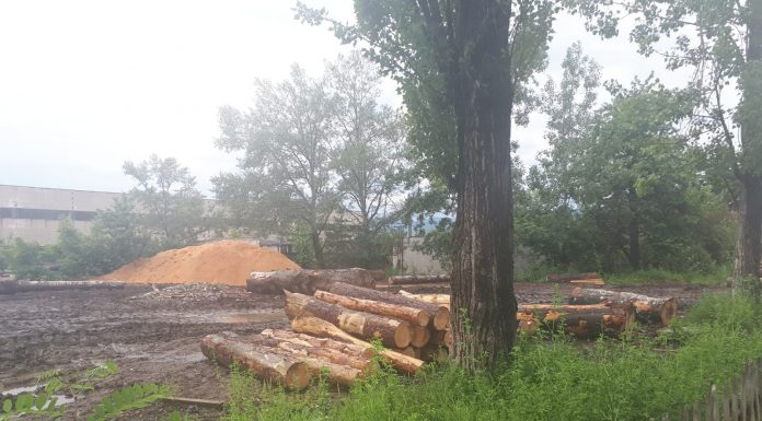 O cantitate de 14 metri cubi de lemn, confiscată de polițiști la Bumbești-Jiu