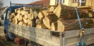 Transport ilegal de lemne, depistat de poliţişti la Negomir