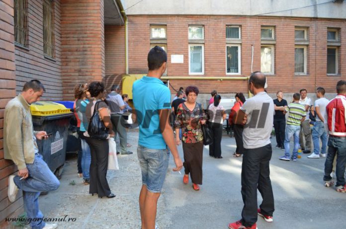 permise auto pasapoarte