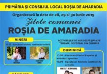 Ionuț Dolănescu cântă într-o comună din Gorj