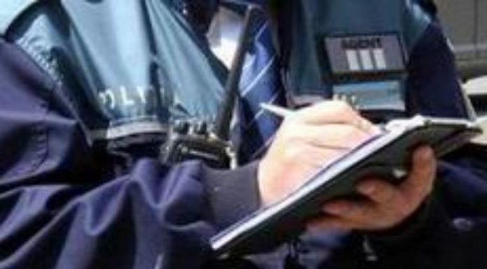 Guvernul a plafonat punctul de amendă