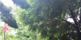 Elevii de la „Ecaterina” au sărbătorit Înălţarea Domnului şi Ziua Eroilor