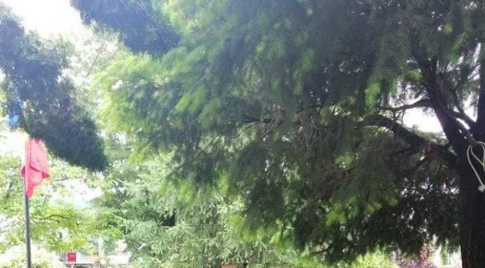 Elevii de la „Ecaterina” au sărbătorit Înălţarea Domnului şi Ziua Eroilor