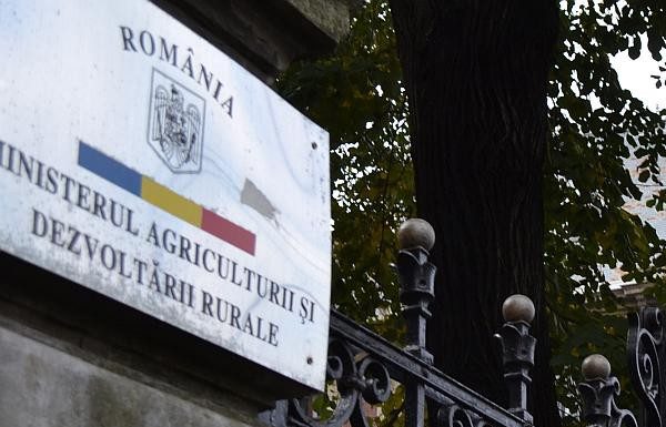 Un minister se reorganizează. Dispar peste 200 de funcții de conducere