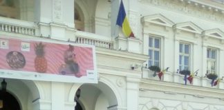Suporteri ai Pandurii, la Turneul Galeriilor de la Arad! Meciul galeriilor, câștigat de echipa din Gorj