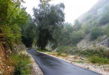 DE CIREŞAR, Pe Șuşiţa spre Pârâul Bordului