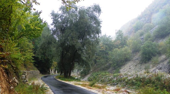 DE CIREŞAR, Pe Șuşiţa spre Pârâul Bordului