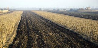 APIA a început autorizările la plată