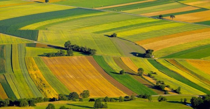 terenurile-agricole