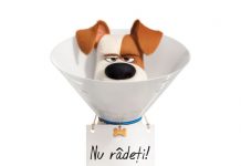 The Secret Life of Pets 2 (2019) – Singuri acasă 2 – Cinema Sergiu Nicolaescu – J,V,S,D,L,M,M,J – 15:00 (3D-Dublat)