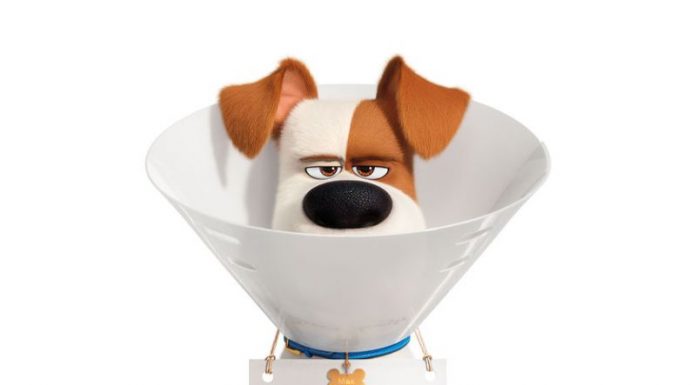 The Secret Life of Pets 2 (2019) – Singuri acasă 2 – Cinema Sergiu Nicolaescu – J,V,S,D,L,M,M,J – 15:00 (3D-Dublat)