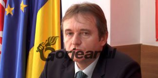 Weber, președintele PSD Gorj – Alegerea președinților Consiliilor Județene prin vot direct este cea mai democratică opțiune pentru români