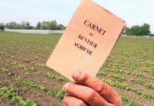 30 august, termen pentru vizarea carnetelor de rentier, la APIA Gorj