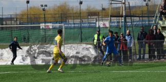 Vodă se antrenează cu Hermannstadt