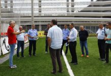 Pandurii, tot pe sintetic