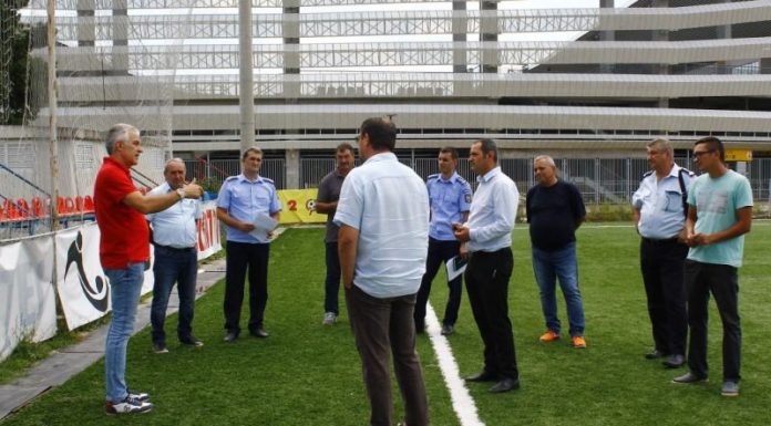 Pandurii, tot pe sintetic