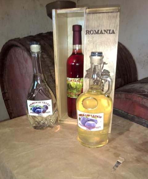 53052616_413343999433340_3181617390970470400_n